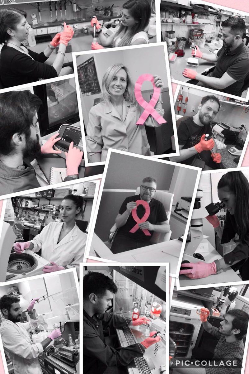 19 de Octubre / Día Mundial de la Lucha contra el Cáncer