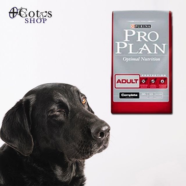 *** Disponible #ProPlan en nuestra tienda Sambil Valencia ***
.
Actualmente solo estamos dando información acerca de disponibilidad y precios directamente en nuestra tiendas o por teléfono.
.
#MascotasFelices #Mascotas #Alimento #Medicamentos #Accesorios… ift.tt/2q24FoM