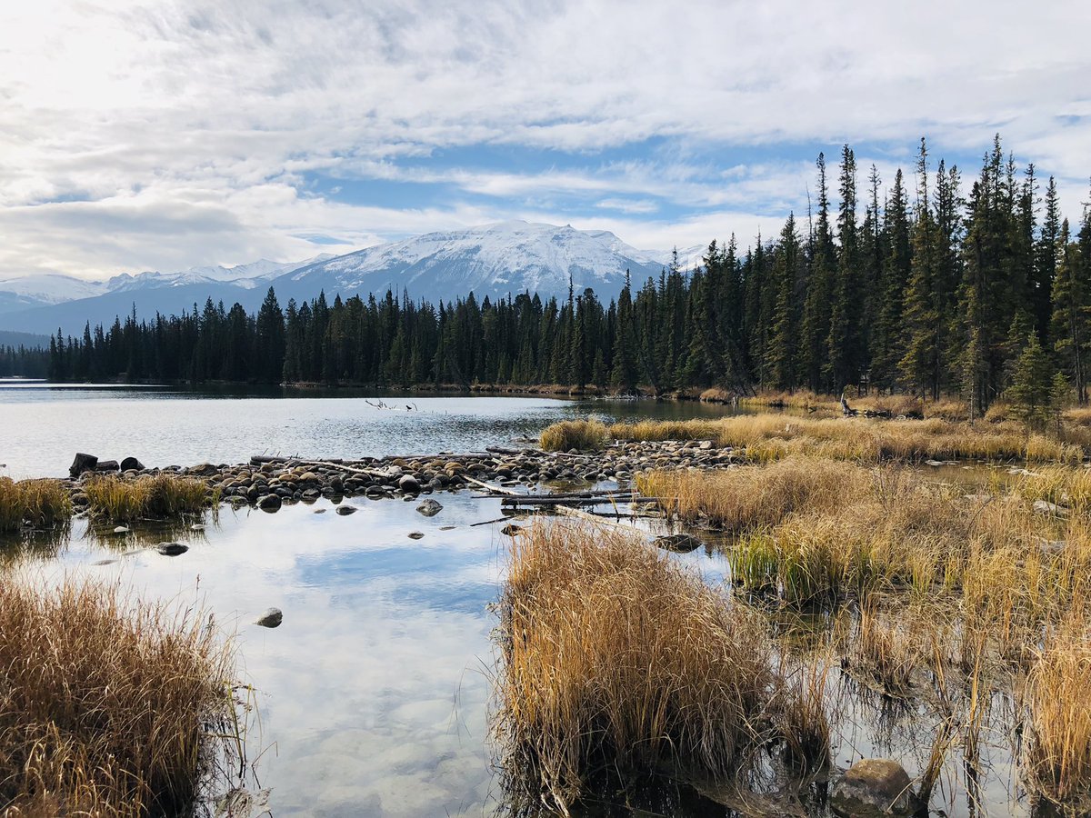 StationCDRKelly's tweet image. Jasper, Alberta, #Canada is beautiful from space, but up close, breathtaking! #JasperDarkSky #InfiniteWonder