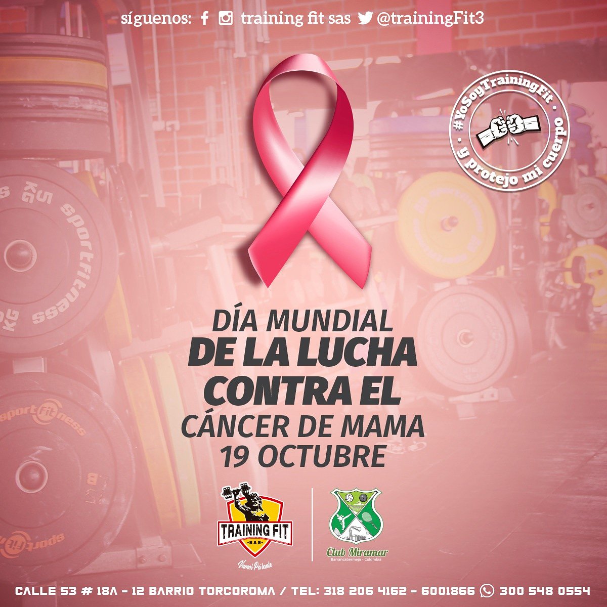 TrainingFit3's tweet image. 👧"la gente luchadora y valiente es la que inspira y da sentido a la vida ¡mucho animo valientes!".
Somos una familia, Training Fit.

ClubMiramar Barrancabermeja
#TransformandoVidas #5años
#YoSoyTrainingFit y Tú #TrainingSeguro #LaFamiliaQueEscogí #ValeLaPenaSoñar #Burpees