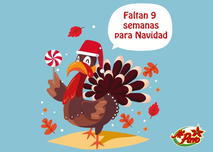 mrpavomx's tweet photo. Cada vez más cerca de la Navidad. ¡Faltan 9 semanas! https://t.co/63YlSp4Xc2