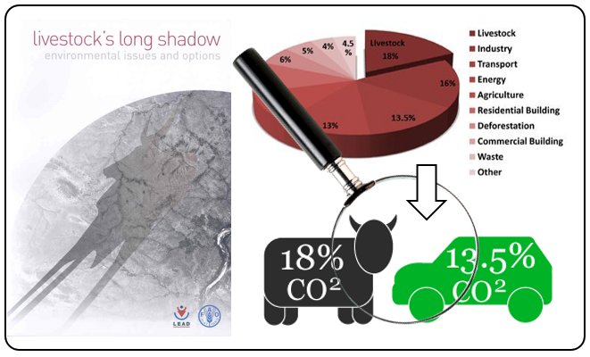 In 2006, the FAO stated that livestock represents a larger issue than transportation with respect to climate change (18% versus 14% of the GHG emissions)