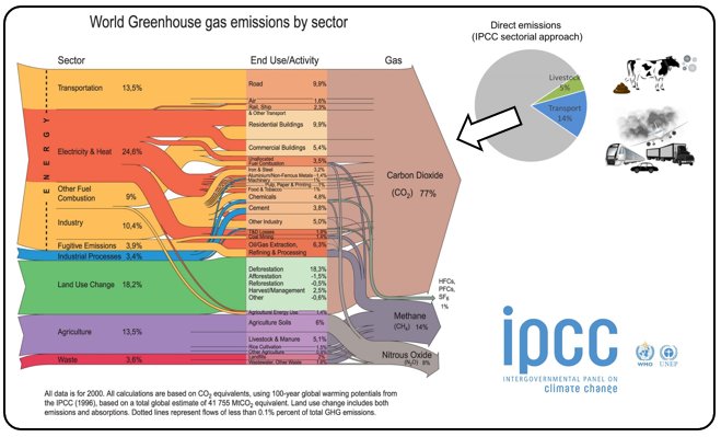 When comparing direct emissions, the global output of livestock is even much below the one of transportation (5.1% versus 13.5%)