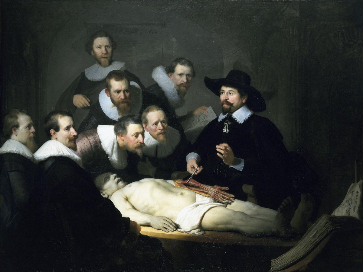 レンブラント『テュルプ博士の解剖学講義』（1632）は、前腕の筋群の起