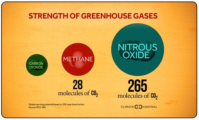 Methane receives a lot of attention because it is more potent than carbon dioxide (28x), but not so potent as nitrous oxide (265x)