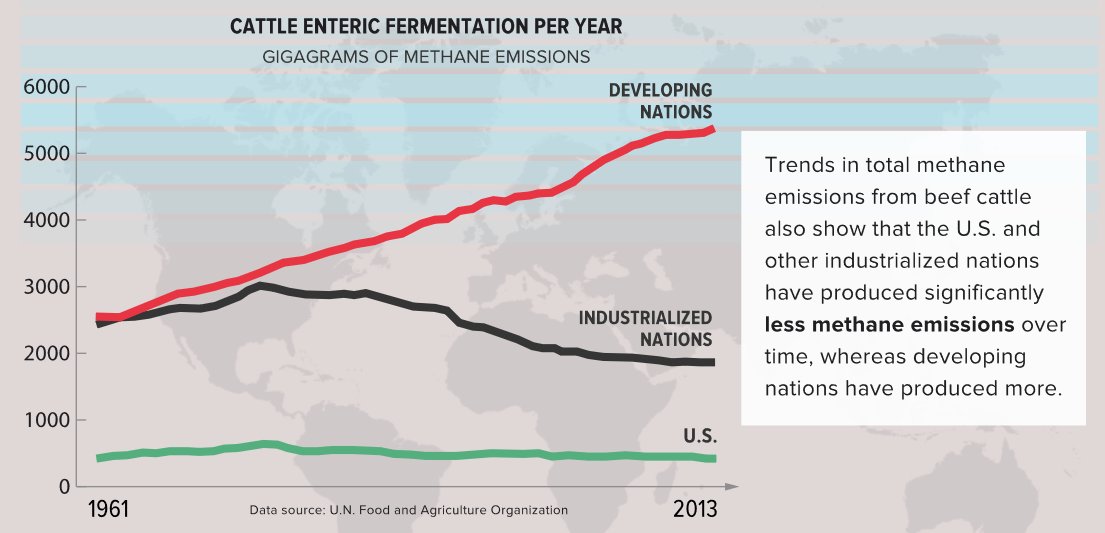 drsplace's tweet photo. According to @FAO estimates, methane emissions from cattle have declined over the past 50 years in the US and other industrialized nations (not just per kg of beef, but in total). #sustainability #beeffacts 

More info at 🔗: https://t.co/at1KhAt3ey https://t.co/AKigmoJGNm