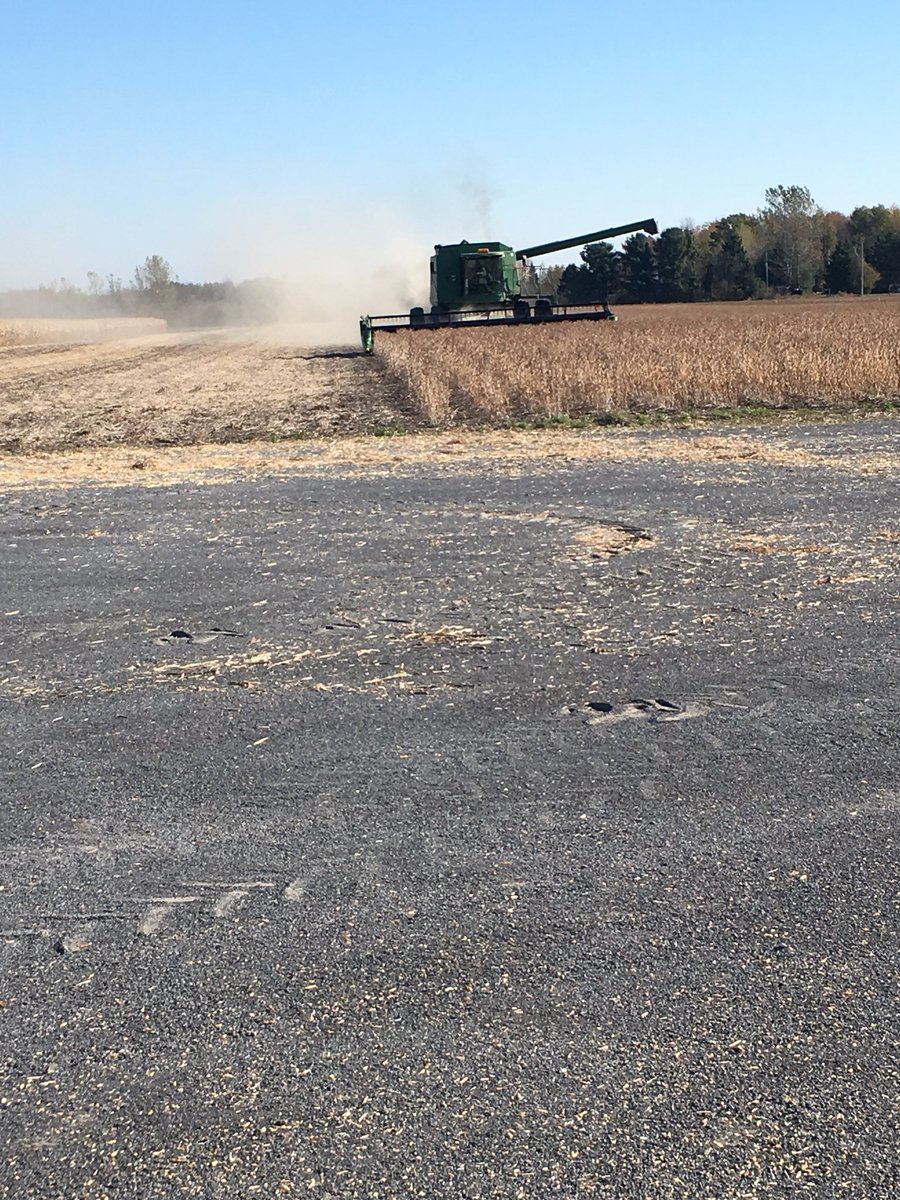 Great day weighing off soybeans in Casselman at Paul’s Demo plot. Lots of consistent performing varieties from Pride Seeds and Syngenta for 2019! @davidmacewenag <a href="/Fergus9/">Ron Ferguson</a> <a href="/darsenault06/">Danika Arsenault, agr</a>