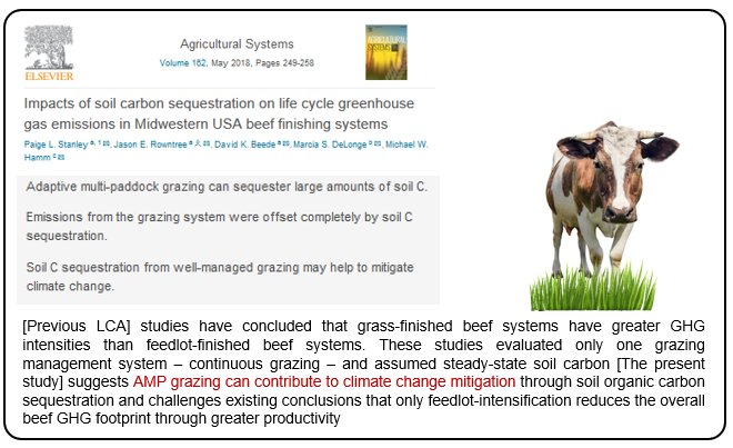 Regeneratively grazed cattle may even create a net emissions sink, by drawing more carbon into the soil than the methane produced by the cows