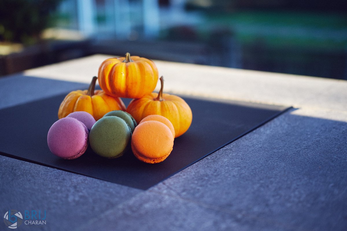It's civic VOTING TIME again! Don't forget to celebrate doing your part for #Victoria with a treat afterward at La Roux Patisserie Inc.
.
.
.
.
.
.
#whentastematters #bc #food #foodphotography #sweet #treat #delicious #macrons  #dinnerparty #catering #autumn #tourismvictoria