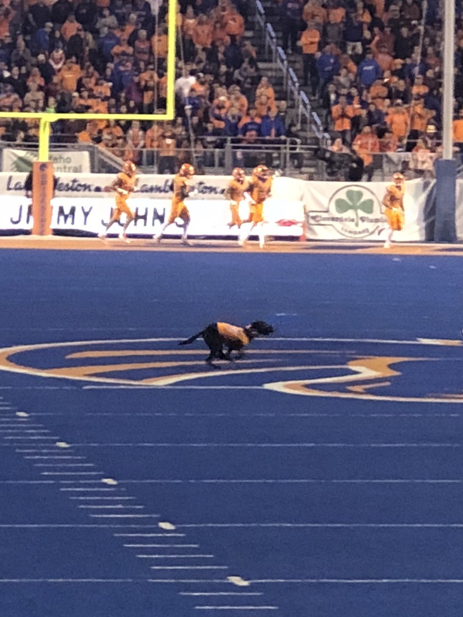 Rahooooooooooo!!!! 💙🧡💙🧡💙🧡