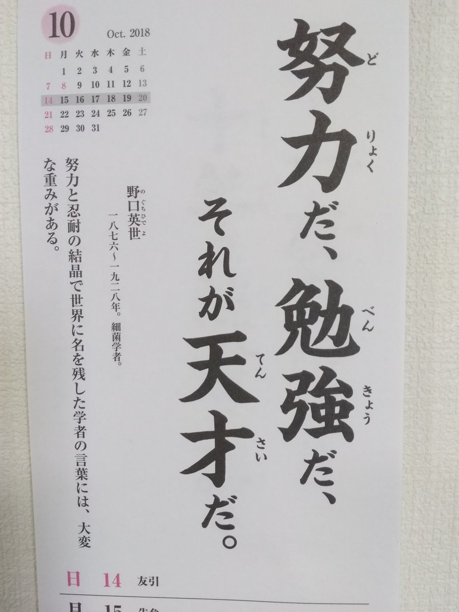 吟味するスタンス 月曜日から国民を守る党 野口英世の名言がなんかバカっぽいんだけど 本当にこんなこと言ったのか T Co 3t9eubrrue Twitter