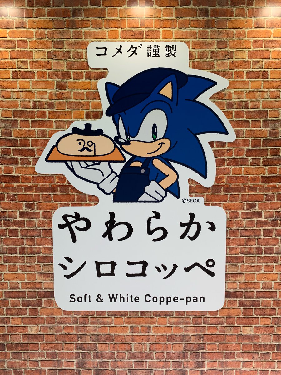 Akihabara Sonic! 秋葉原ソニック！