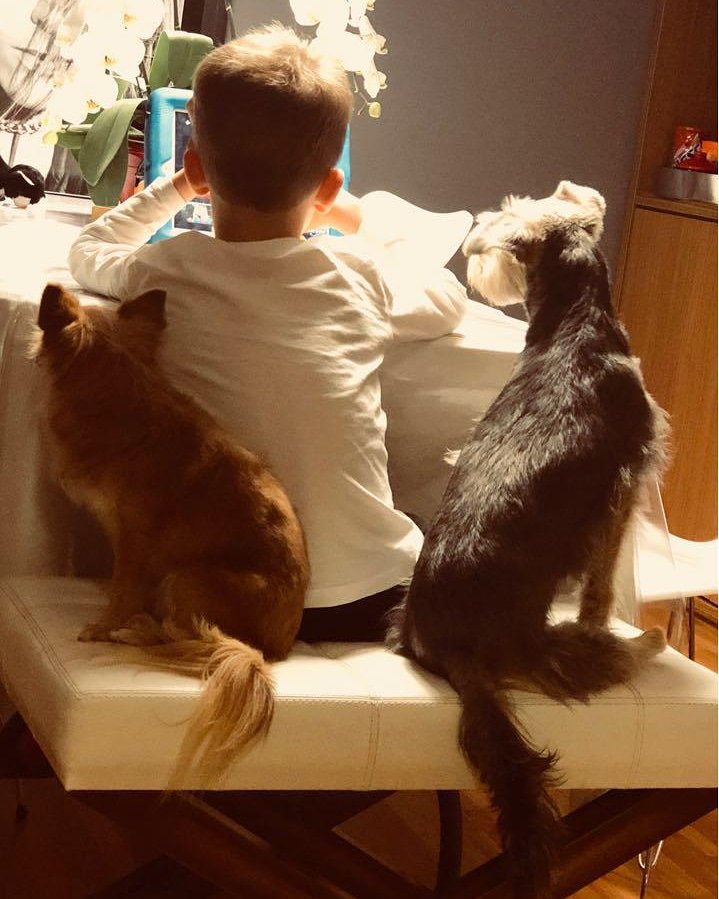 ahickmann's tweet photo. O fim de semana chegou! É hora de curtir meu filhote e as minhas cachorrinhas, Fanny e Ramona. As duas estão sempre espertas e saudáveis, e o segredo é a alimentação: eu só dou ração #formulanatural 🐶❤ #canilhickmann #raçãoformulanatural #fn #adimaxpet #dog #dogs https://t.co/eVlXIMbF1b