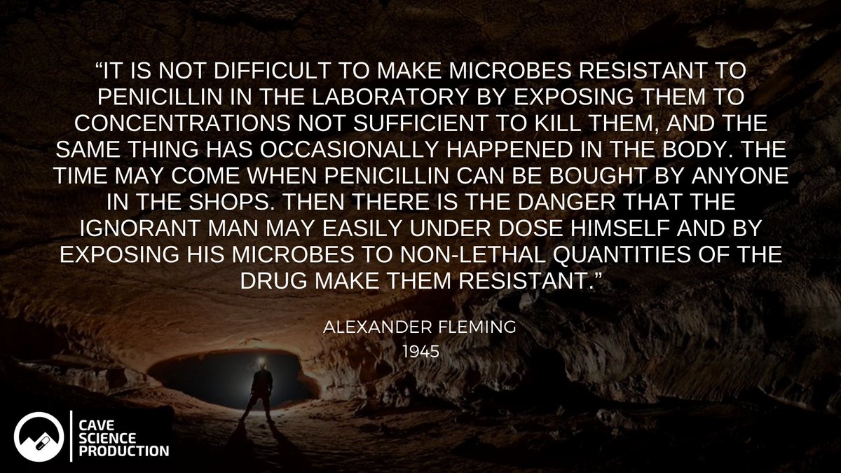 In 1945, Alexander Fleming, the scientist who discovered the world's first antibiotic substance, already knew resistance would grow. In his Nobel acceptance speech for the discovery, he gave us this warning. #AntibioticResistance #AlexanderFleming