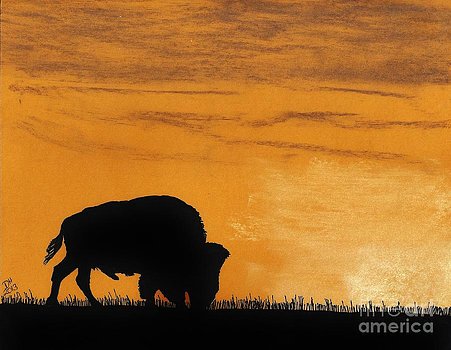 dhackett4150's tweet photo. #drawing #softpastels #bison #buffalo #silhouette #sunset #dhackett #fineart https://t.co/JDqOtmovrV https://t.co/lzk3k6ziIZ