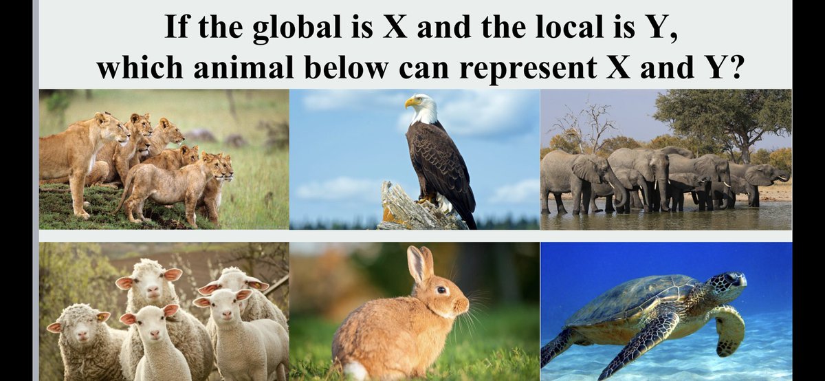 Fremen Chou tweet media