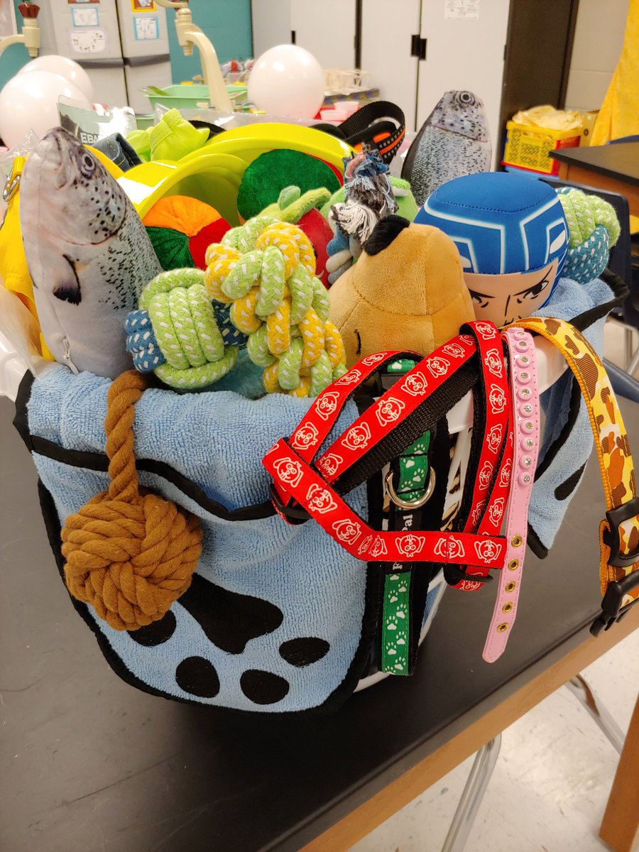 angmerenbloom's tweet photo. My students helping KC Pet Project through donations and making toys in an after school Furry Friends Club that they started. #proudteacher #lpsleads #heritagems https://t.co/8zLEiYikYW