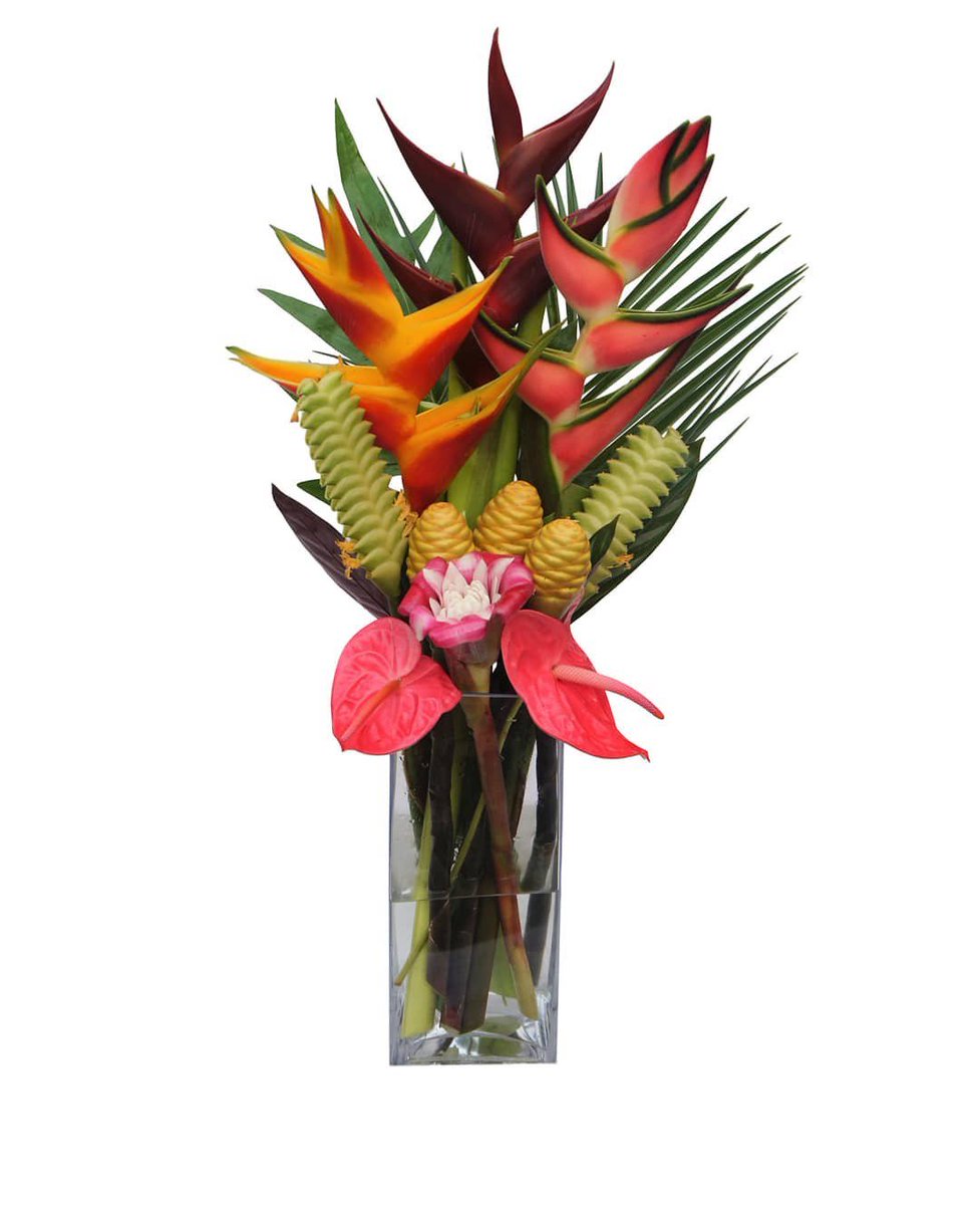 queenstropicals's tweet photo. Discover... Get a bouquet from Hawaii.  Tropicals for your beloved ones.  We prepare and ship it for you. Amazing touches from the tropics. Only here! #tropicalflowers #flowerarrangements #tropicalbouquets https://t.co/ZFkviPwEUi