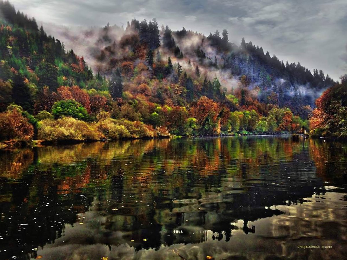 FlorenceOrCoast's tweet photo. Hello weekend! The colors are spectacular along the Siuslaw River. Thank you Craig Shreeve for sharing your pics. #letsgohiking #letsgofishing #oregonscoastalplayground. Florence is calling! https://t.co/iDlJBiTaDs https://t.co/jLHvEO06ij