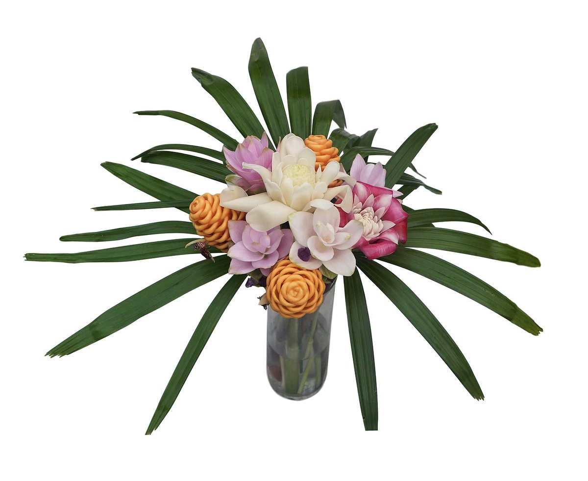 queenstropicals's tweet photo. You can turn your house into an oasis.💐 https://t.co/ZBhgfOvw9Y #Floralarrangements #Hawaii #tropicals #gifts #flowers #bouquets #rareflowers https://t.co/9iWlF951nx