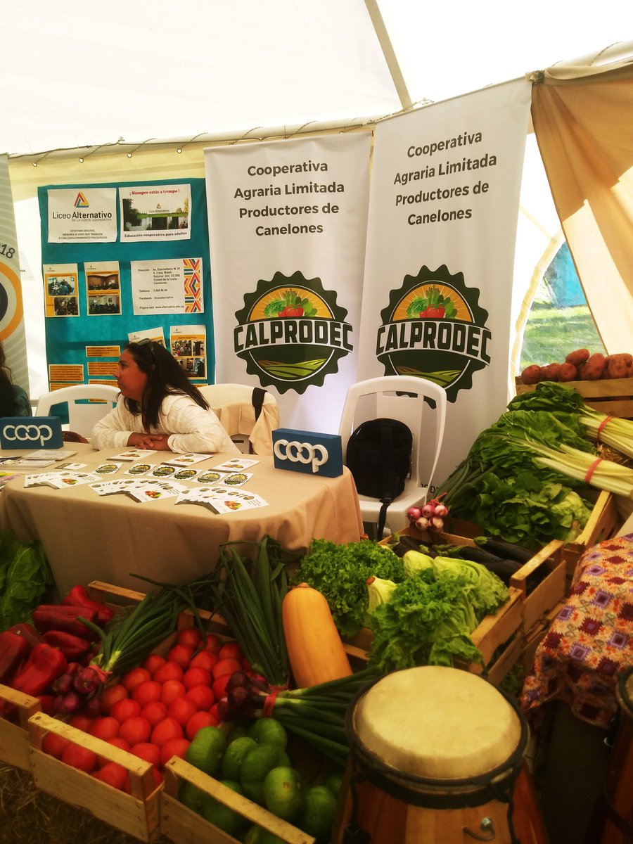 flavia_carretto's tweet photo. #cooperativismo.Este finde en #Festitur en Atlántida está la carpa de Mpymes y de Economia Solidaria /Cooperativismo venite q esta hermoso! @IdCanelones @Cudecoop2 @inacoop https://t.co/KMc13xuzbP