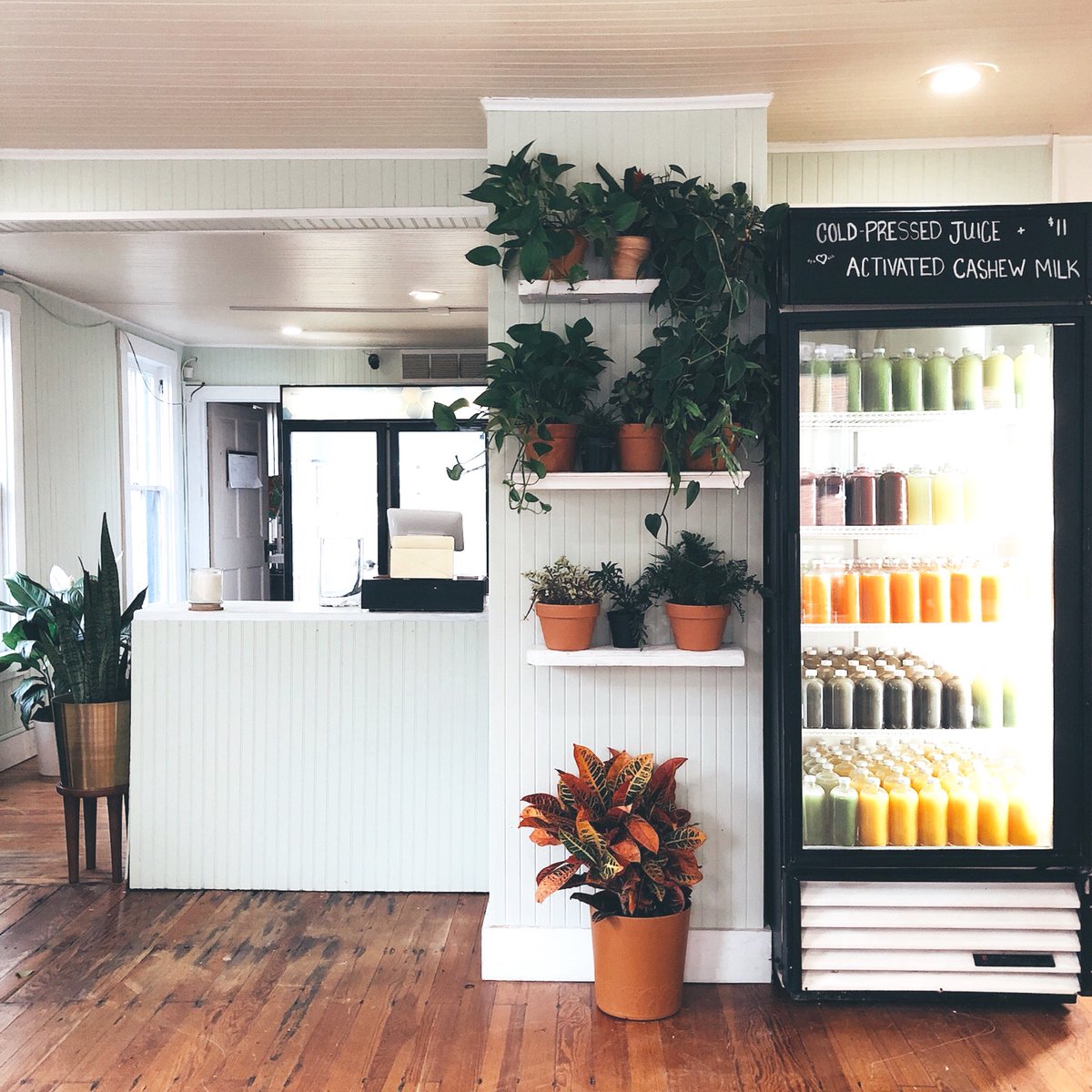 Our Aldie location opens tomorrow at 8:30 AM! Swing by, say hi, and enjoy. 🌿 #wherethegreenthingsflow