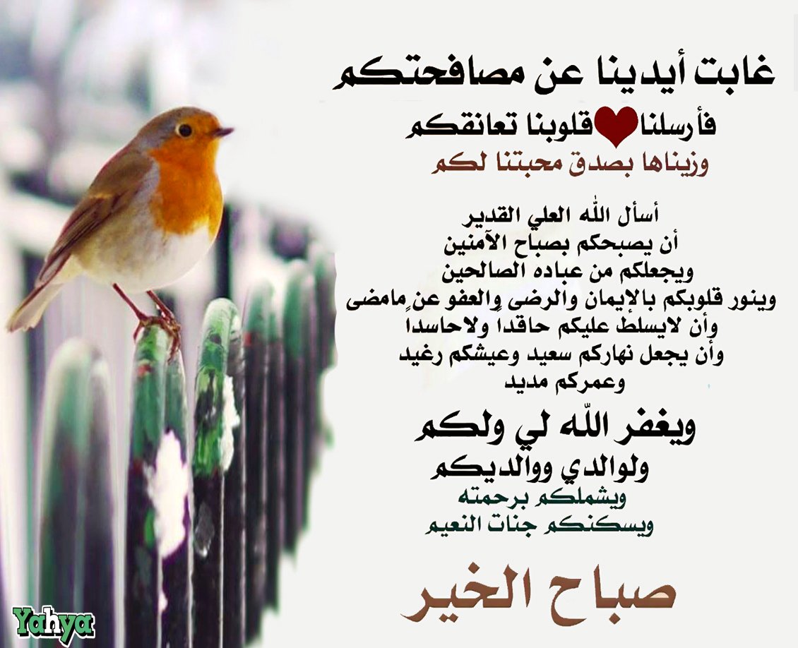 سيد يحيى الحسيني tweet media