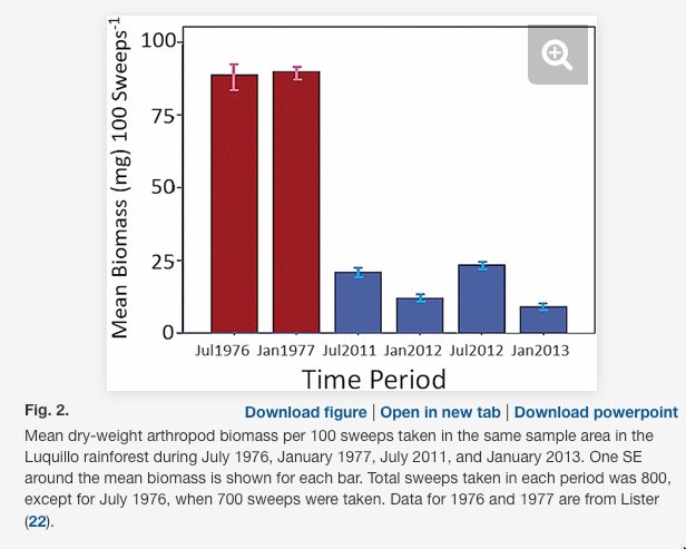 ebook algorithms for