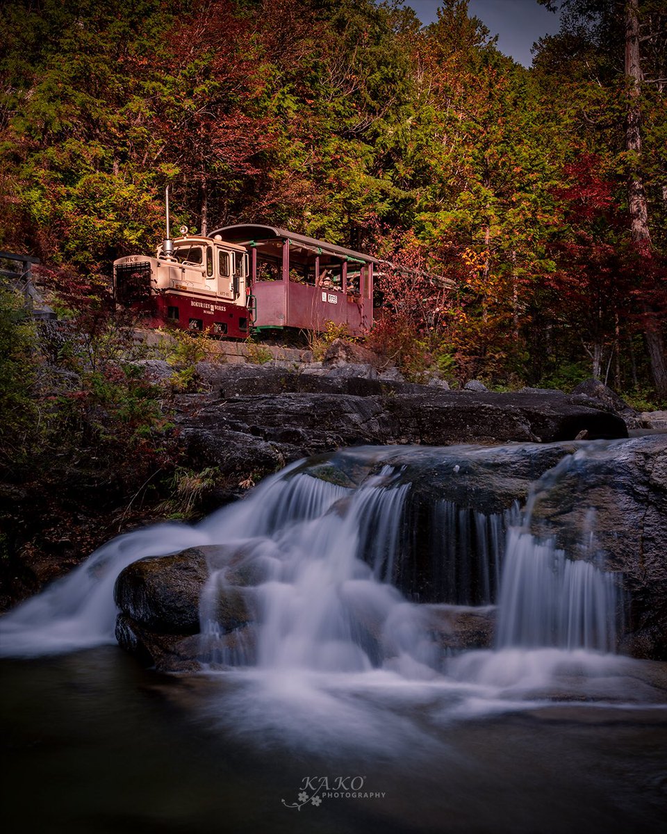 Y Kako 赤沢森林鉄道 木曽の紅葉も見頃ですよー 是非木曽の自然を 赤沢森林鉄道 赤沢自然休養林 木曽郡 上松町 Kisodani 東京カメラ部 Tokyocameraclub