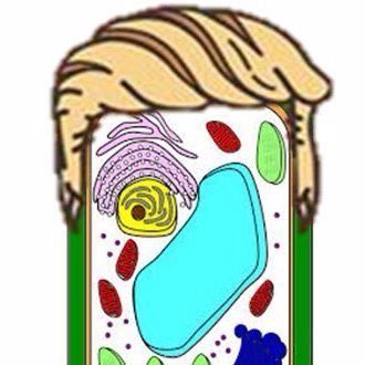 ItsPaulTheWall's tweet photo. #cellfie 🤪 https://t.co/2opiCXzwIr