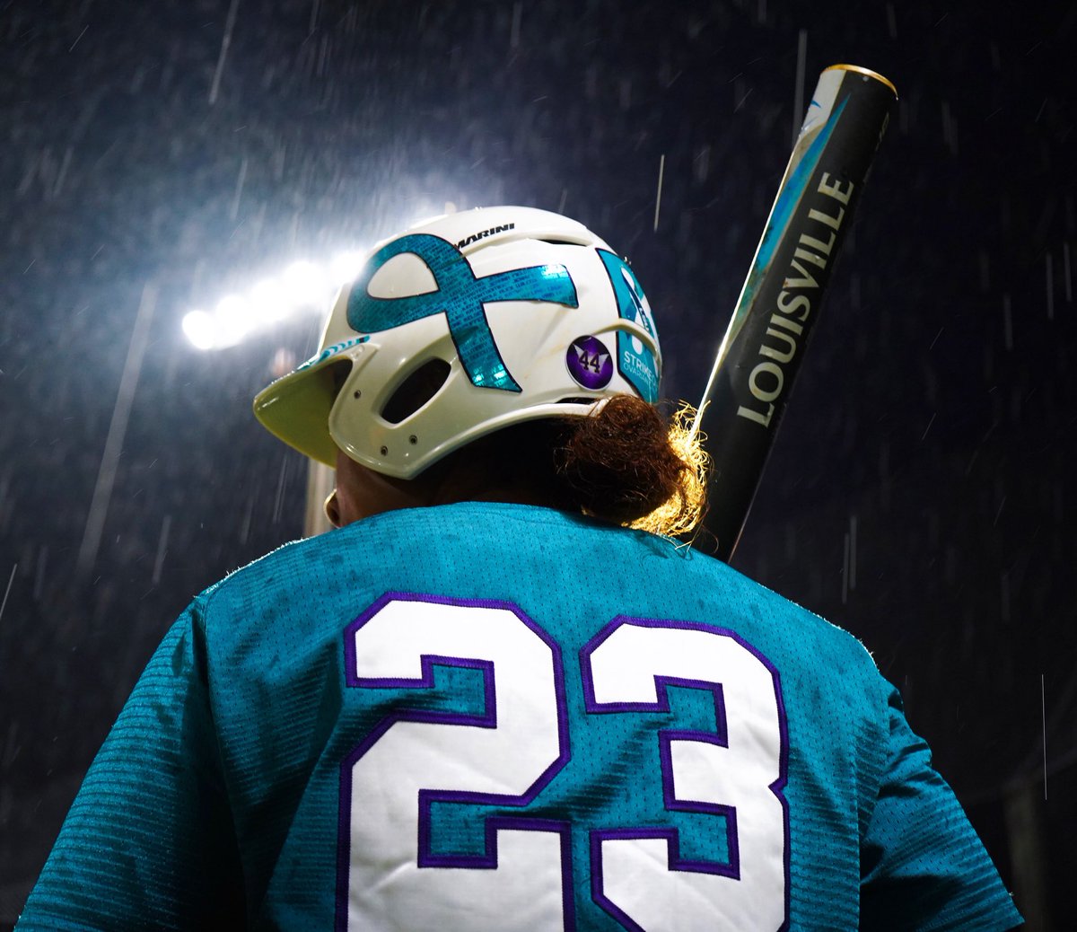 LSUsoftball's tweet photo. No One Fights Alone #GeauxTeal https://t.co/HgdT6IM2ks