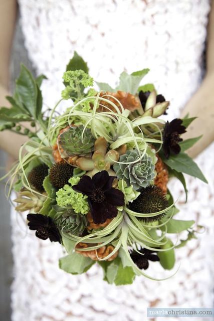 #FlowerOfTheWeek: Sedum. #FlowerFriday #Succulents