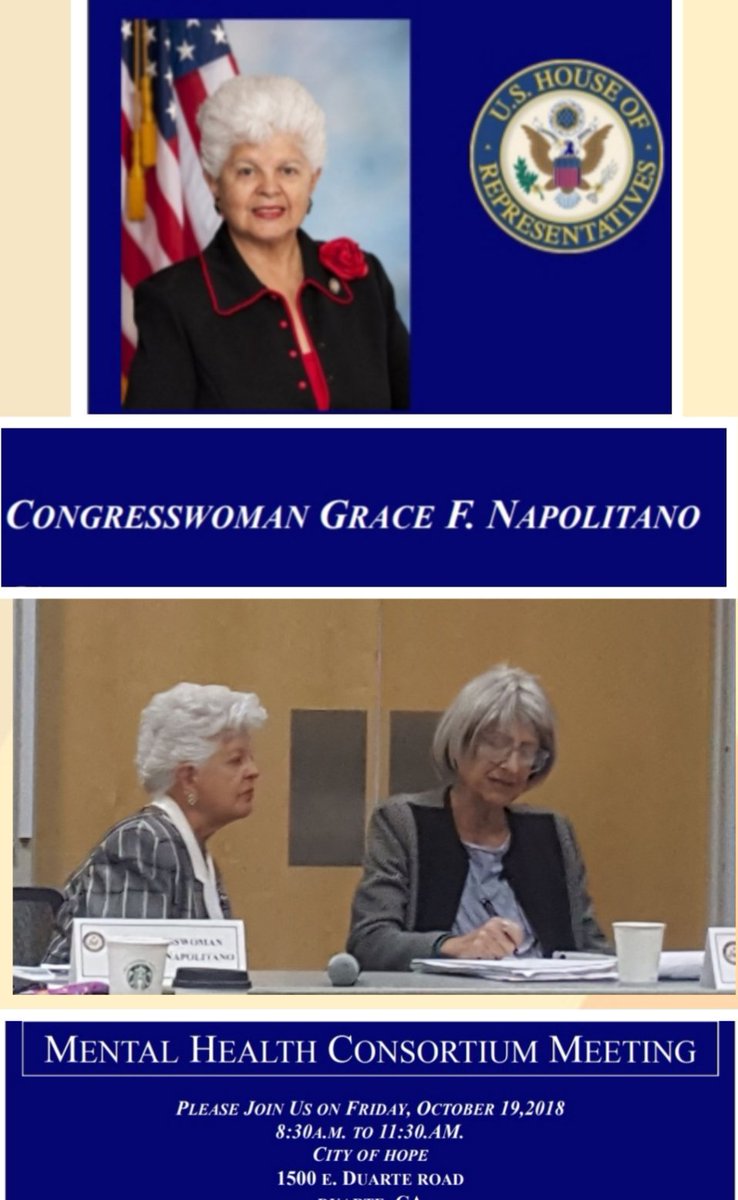 This morning we attended the Mental Health Consortium  meeting with @gracenapolitano. We had the opportunity to hear the Distinguished Dr. Elyn Saks, J.D. Ph.D. #mentalhealth #mentalhealthawarenessmonth #lupusandmentalhealth #supportfromlovedones