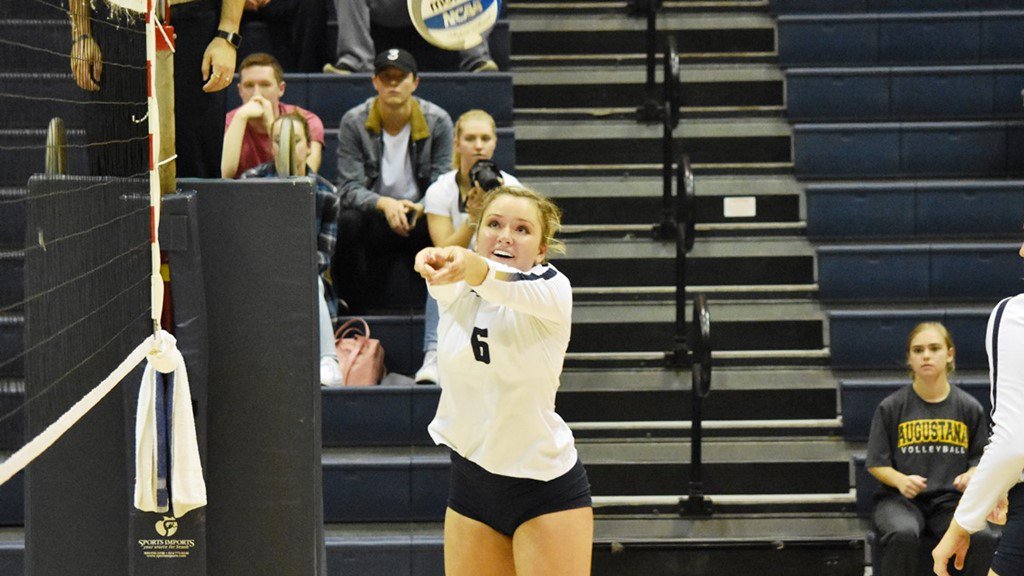 Augustana Vikings (@augieathletics) on Twitter photo Augie VB rolls past North Central in three sets <a href="/Augustana_IL/">Augustana College</a> <a href="/AugieVball/">Augustana Volleyball</a> <a href="/CCIW_Athletics/">CCIW</a> <a href="/TJ_DA/">Tom Johnston</a> <a href="/sbatt79/">Steve Batterson</a> <a href="/Dox5/">Don Doxsie</a> @jaydub_DA <a href="/BobbyMetcalf88/">Bobby Metcalf</a> <a href="/jaykidwellwhbf/">Jay Kidwell</a> <a href="/danvasko/">Dan Vasko</a> <a href="/kuff_sports/">Kory Kuffler</a> <a href="/MattRandazzo/">Matt Randazzo</a> <a href="/JoeyDonia/">Joey Donia - KWQC</a> @Skubie3Mageza athletics.augustana.edu/news/2018/10/1… #AugustanaCollege Augie VB rolls past North Central in three sets <a href="/Augustana_IL/">Augustana College</a> <a href="/AugieVball/">Augustana Volleyball</a> <a href="/CCIW_Athletics/">CCIW</a> <a href="/TJ_DA/">Tom Johnston</a> <a href="/sbatt79/">Steve Batterson</a> <a href="/Dox5/">Don Doxsie</a> @jaydub_DA <a href="/BobbyMetcalf88/">Bobby Metcalf</a> <a href="/jaykidwellwhbf/">Jay Kidwell</a> <a href="/danvasko/">Dan Vasko</a> <a href="/kuff_sports/">Kory Kuffler</a> <a href="/MattRandazzo/">Matt Randazzo</a> <a href="/JoeyDonia/">Joey Donia - KWQC</a> @Skubie3Mageza athletics.augustana.edu/news/2018/10/1… #AugustanaCollege
