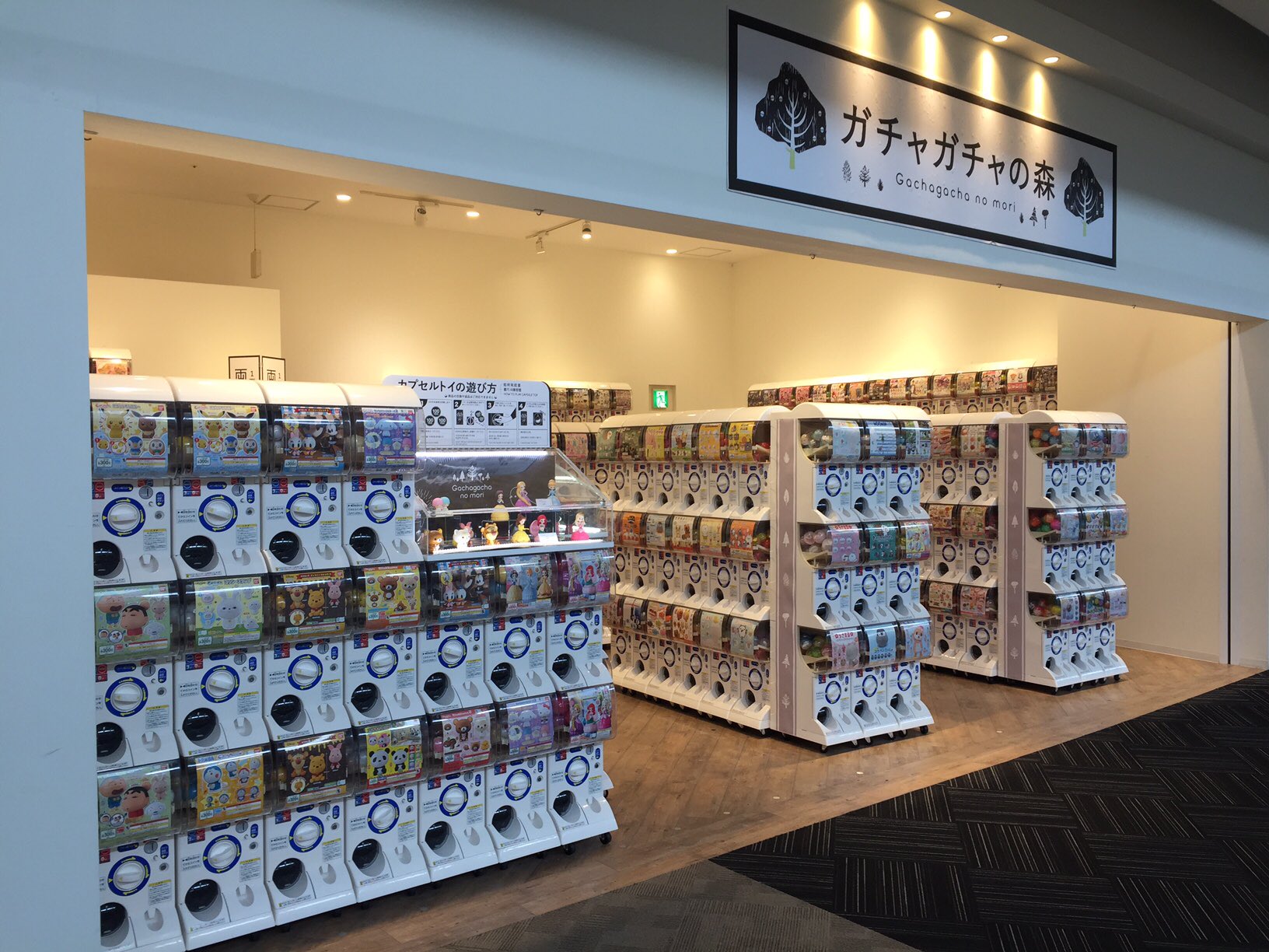 ガチャガチャの森 公式 ガチャガチャの森 公式 です 本日 イオンレイクタウンkaze店がopenしました 是非 ガチャガチャ好きのお友達にも教えてあげて下さいね 約550台のガチャガチャで皆様のご来店お待ちしております ガチャガチャの森 公式 ガチャガチャの森 公式 です 本日 イオンレイクタウンkaze店がopenしました 是非 ガチャガチャ好きのお友達にも教えてあげて下さいね 約550台のガチャガチャで皆様のご来店お待ちしております