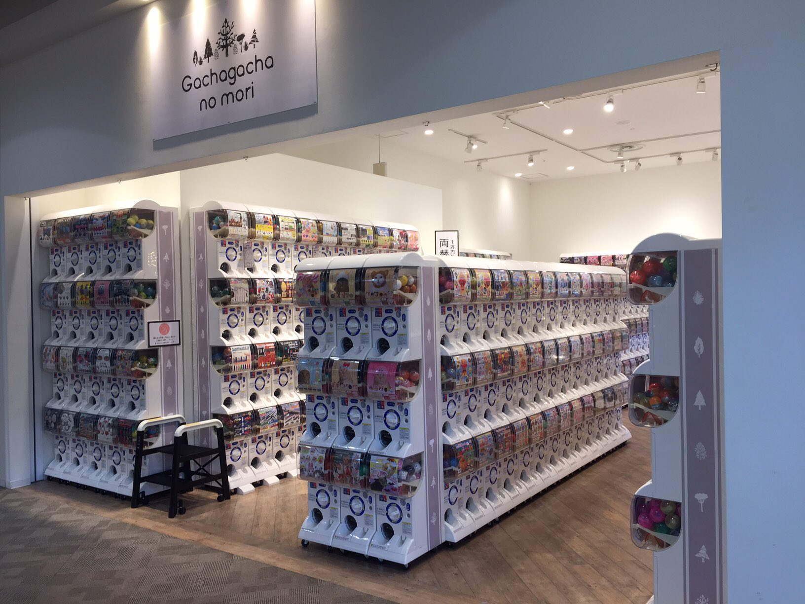 ガチャガチャの森 公式 Twitter પર ガチャガチャの森 公式 です 本日 イオンレイクタウンkaze店がopenしました 是非 ガチャガチャ好きのお友達にも教えてあげて下さいね 約550台のガチャガチャで皆様のご来店お待ちしております