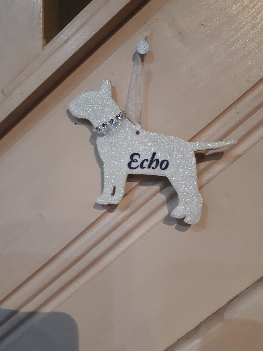 Babybea02844118's tweet photo. Sooper sparkly doggy Xmas tree decorations. Can be personalised for a current pet or in memory of a loved one who has crossed the bridge 🌈
#UKGifthour #crafturday #ukweekendhour https://t.co/eZoCtXFQX3