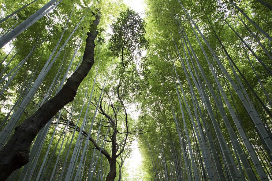 Zo, een beetje nuance bij zo'n verdraaide #school die #leerlingen zelf laat kiezen... Door <a href="/amberwalraven/">Amber Walraven @amberwalraven.bsky.social</a> #onderwijs lnkd.in/g8GEztf