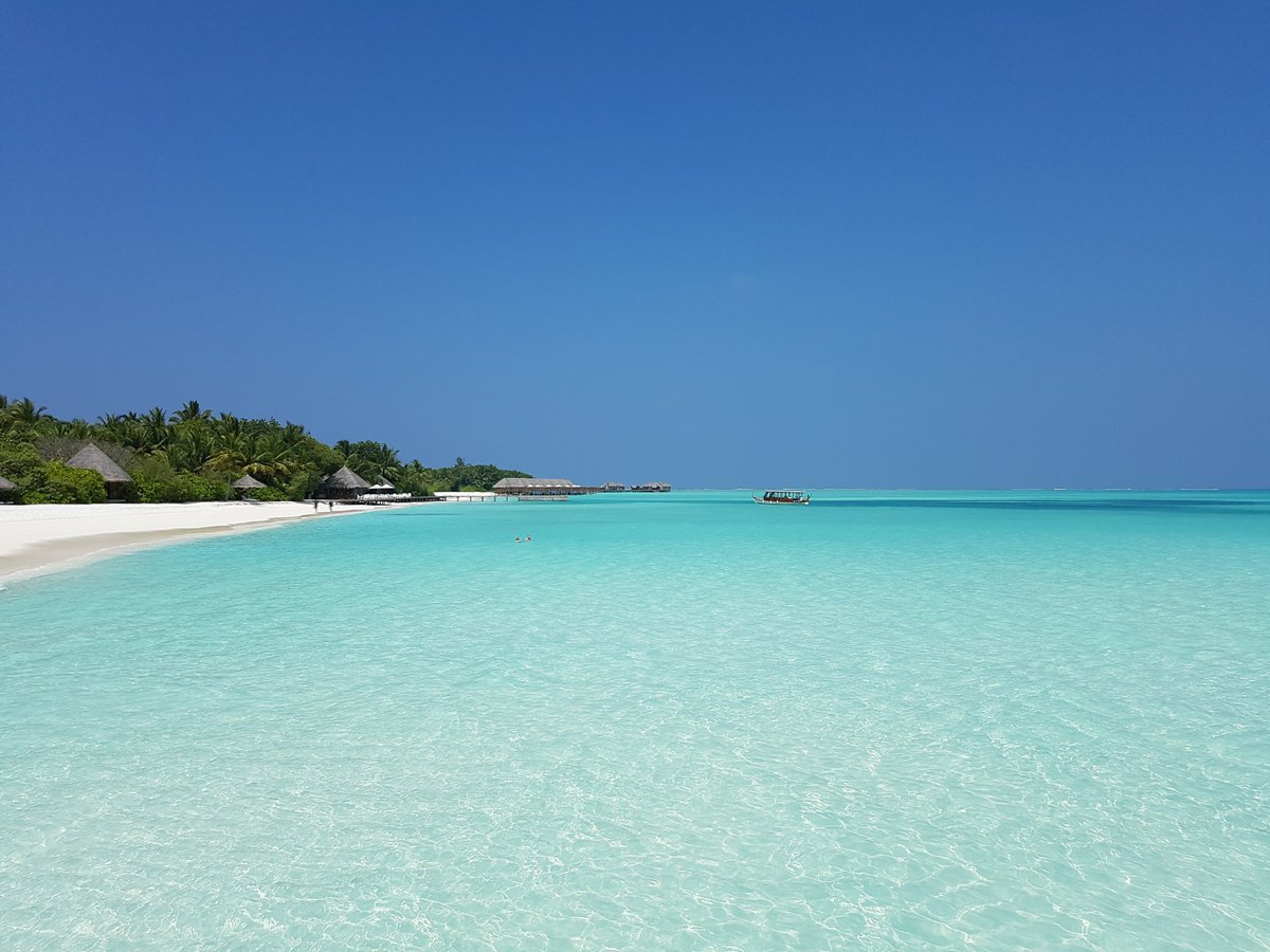 BackpackersM's tweet photo. "Paradise": a place of exceptional happiness and delight💙

https://t.co/F1MruigW3V
https://t.co/X3WsupP4F9

#Maldives #resort #dayvisit #luxuryhotel #paradise #beach #lagoon #intimacy #privacy #Alone #Sunny #resortvisit #Cruise #CruiseMAldives #BudgetHolidays #Paradiseonearth https://t.co/aOzm3X4JDx