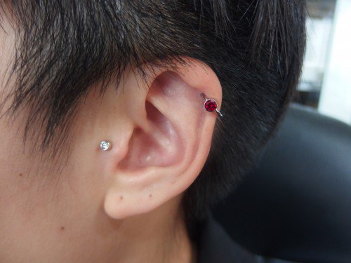 パラドックス アンジェリック ママレイド Paradoxjpcom Twitter