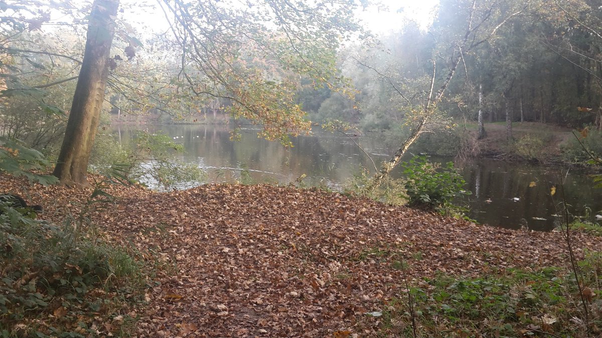 Heerlijke ochtend wandeling in het #kuinderbos. Gewoon effe de kop leeg laten lopen