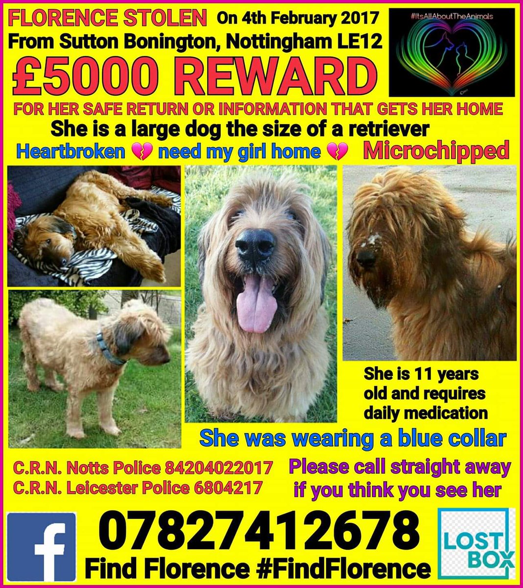 #FindFlorence tweet media