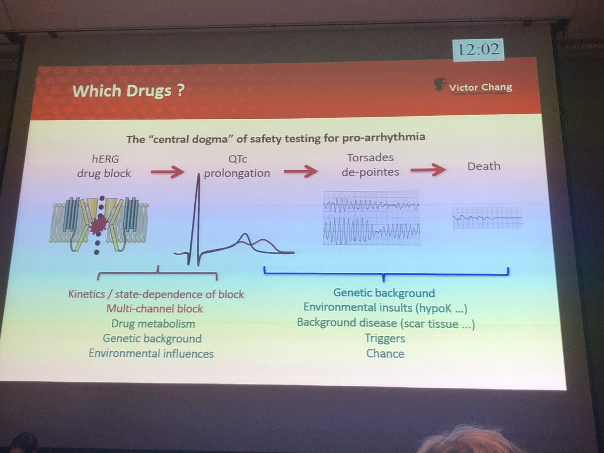 jodieingles27's tweet photo. Nice summary slide from @VandenbergJamie on why we need better ways to determine who is susceptible to QT prolonging drugs #APHRS2018 #cardiogen https://t.co/WOlaiLcjHB