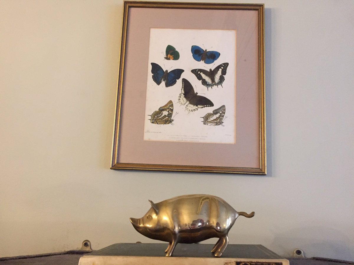 Catherine Price tweet media