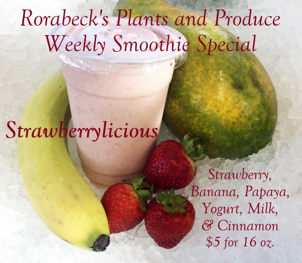 RorabeckProduce's tweet photo. Weekly Smoothie special - Strawberrylicious! Oh so berry yummy! It has strawberries, banana, papaya, yogurt, milk and cinnamon. $5 for 16 oz. (valid thru 10/25/18, while supplies last) Pick up your Smoothie Loyalty Card too! Buy 9 smoothies, and get the 10th one for free! https://t.co/iFovdm42zP