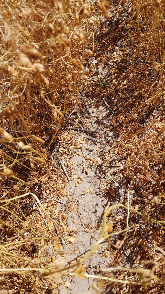 Tim Schulz tweet media