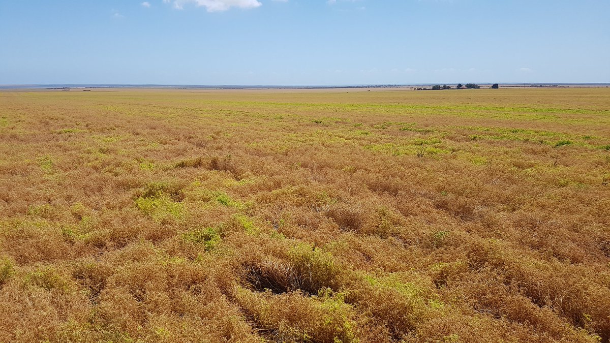 Tim Schulz tweet media