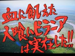 亡くなった田中信夫さんは 川口浩探検隊 や伝説の 猪木vs藤波エンディング の声だったそうだ 備忘録 データ集 或いは一時保管所
