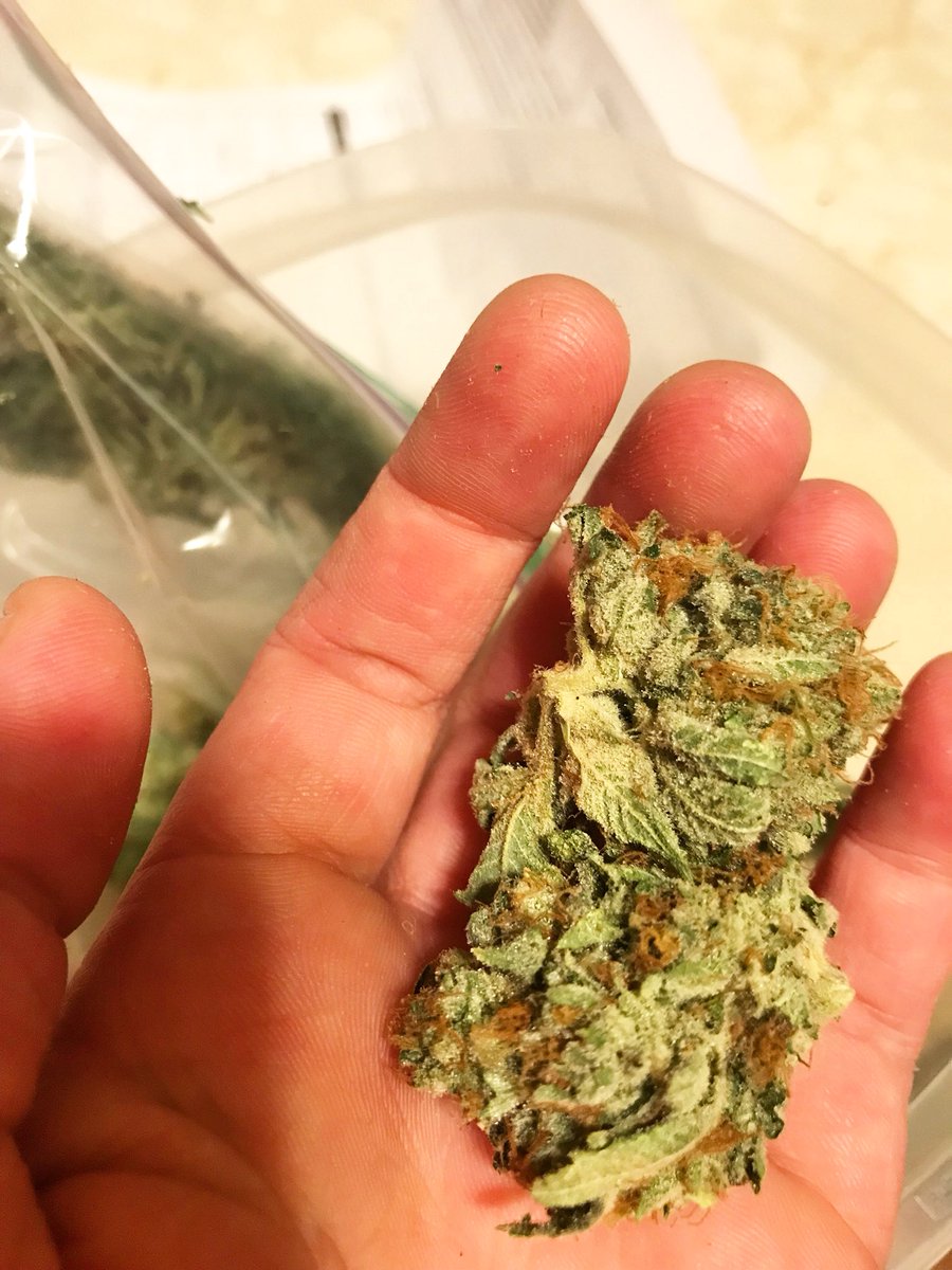 OrangeJ3WS's tweet photo. 😍💦💦💦 #skittles #michiganmeds #legaltrees https://t.co/68eX6wJnHr