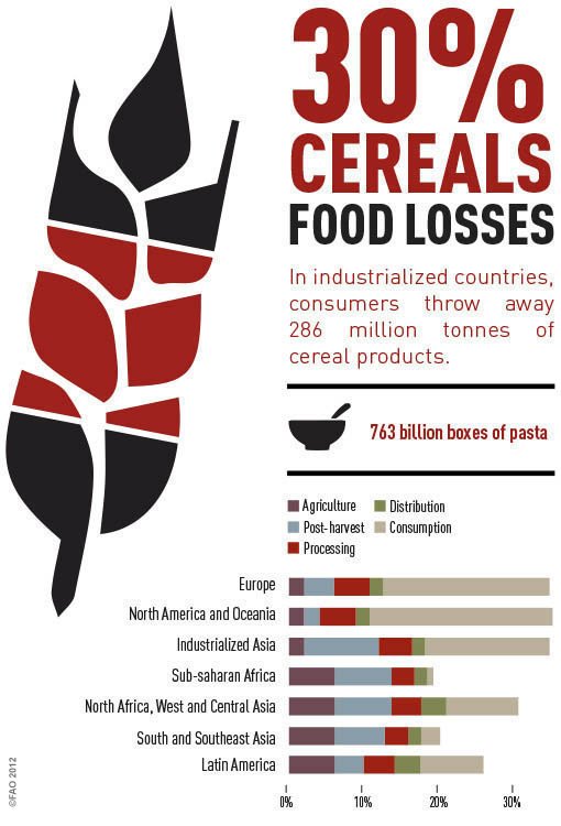 30% Cereal Food Losses.
@NASSCOMfdn 
@MyKartavya 
#ZeroFoodWasted 
Save it for your #future.